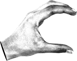 無料相談はこちらから